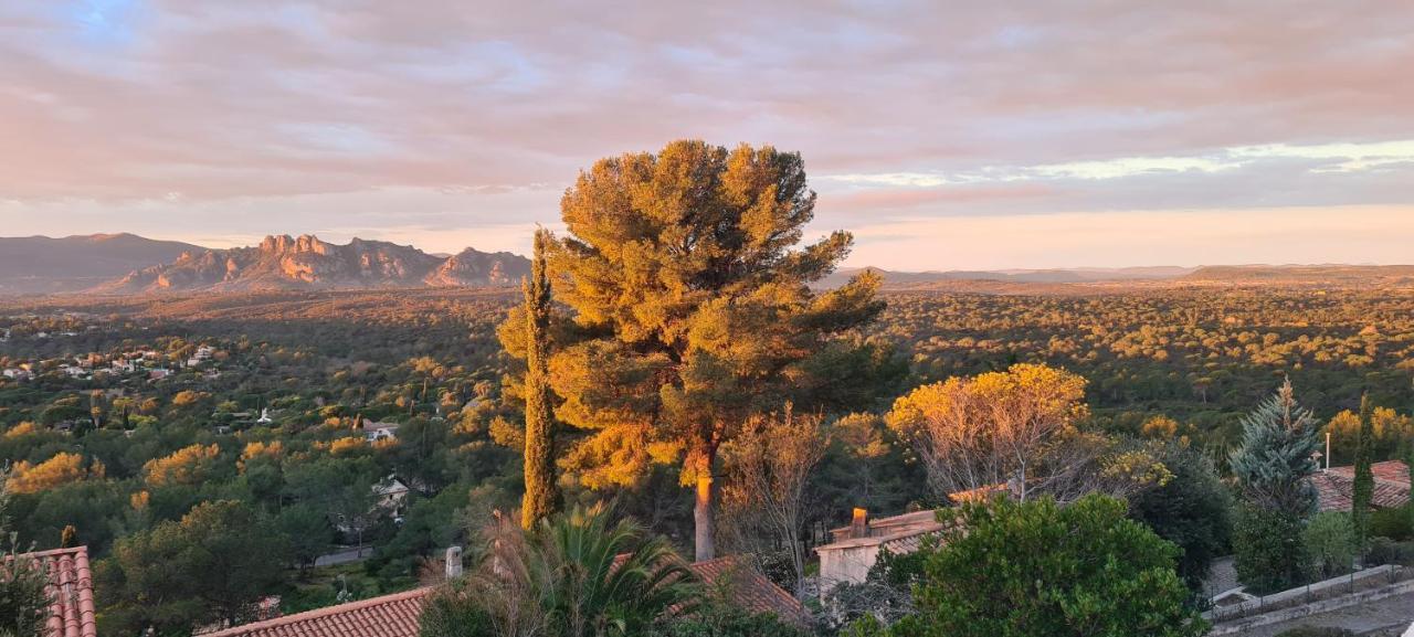 Corniche Du Paradis Bed & Breakfast Roquebrune-sur-Argens Exterior photo